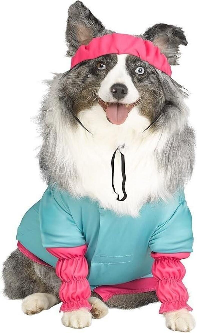 Barbie Doll Aerobics Dog Costume Outfit Shirt Sweatband Size M 18-28 Pounds